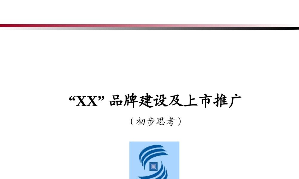 XX品牌建设及上市推广.ppt