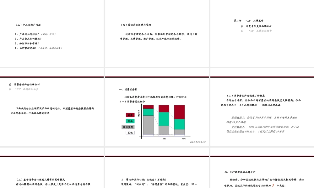 XX品牌建设及上市推广.ppt