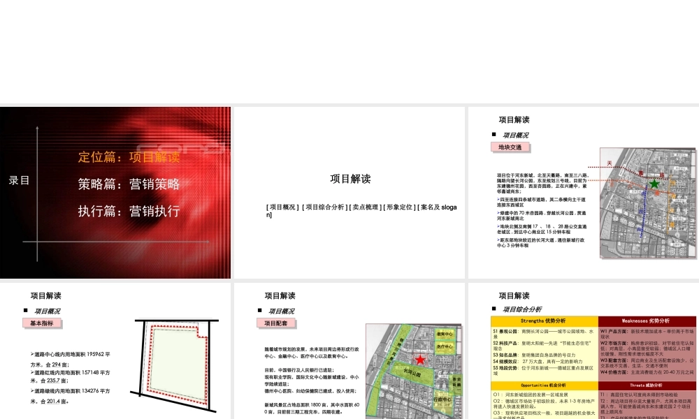 某生态节能项目初步营销建议报告.ppt
