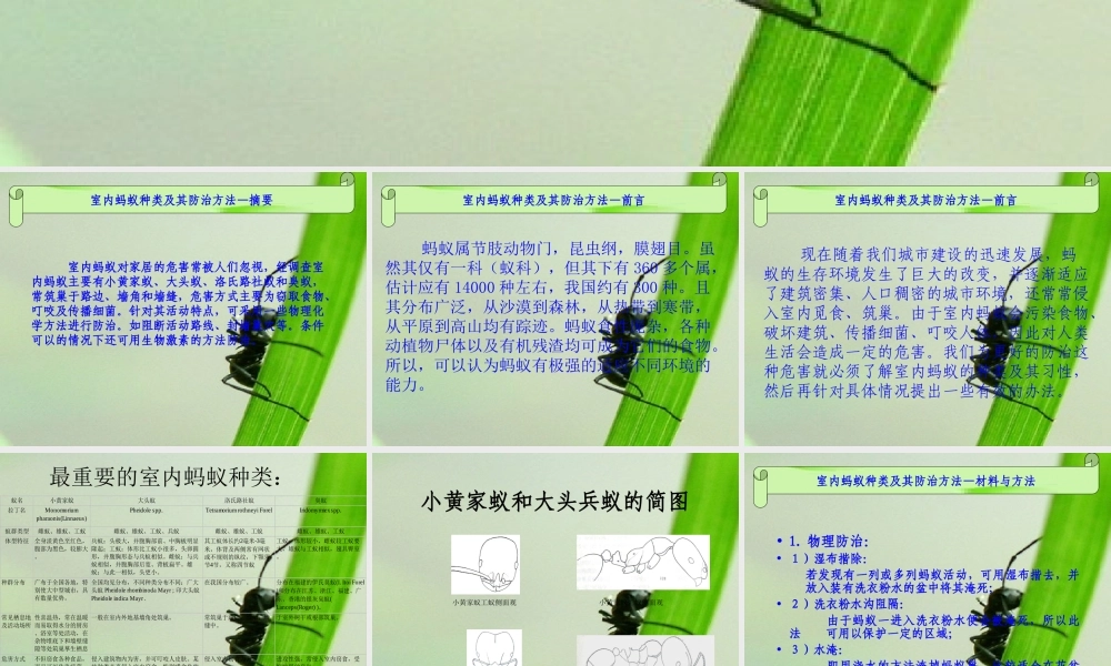 室内蚂蚁种类及其防治方法.ppt