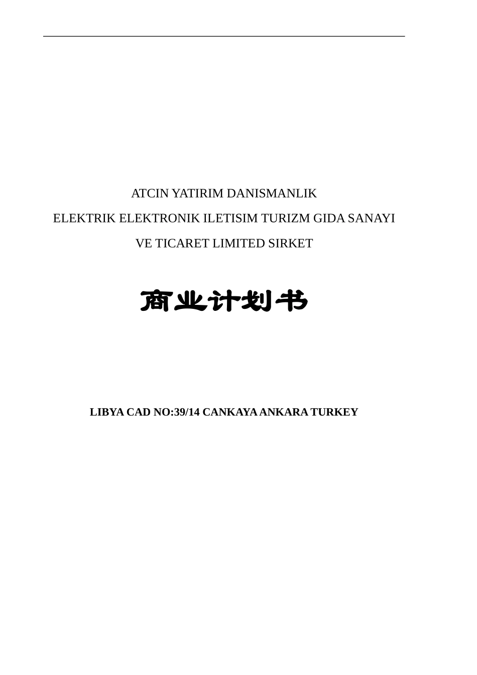 商业计划书白金模版.doc_第1页