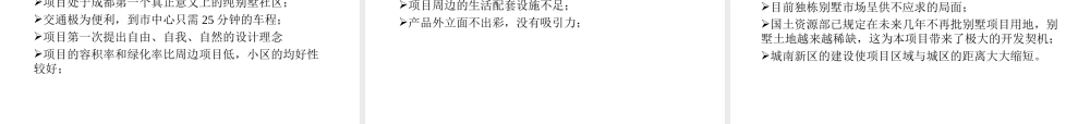 某山别墅项目策划案.ppt