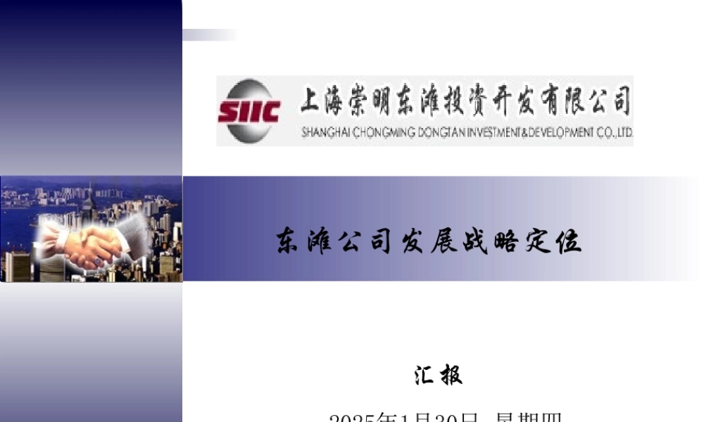 东滩公司发展战略定位综合2.ppt