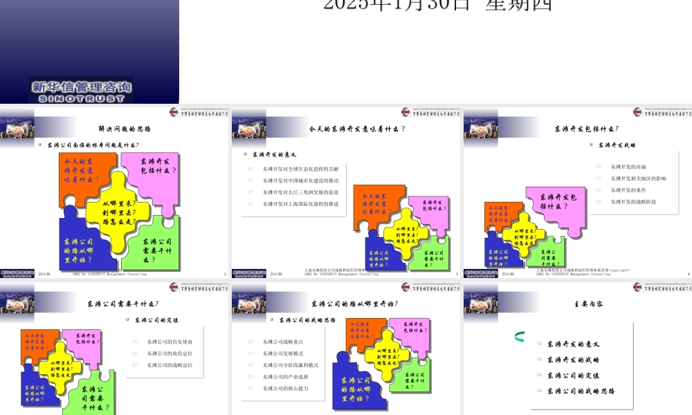 东滩公司发展战略定位综合2.ppt