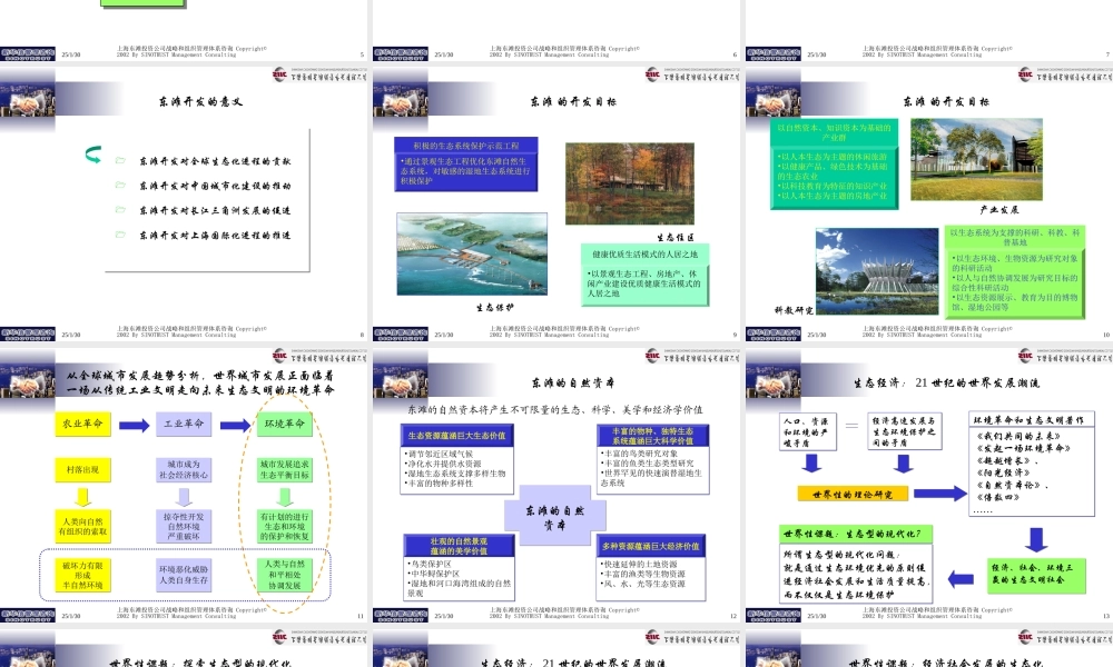 东滩公司发展战略定位综合2.ppt