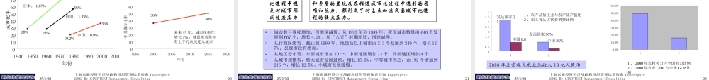 东滩公司发展战略定位综合2.ppt
