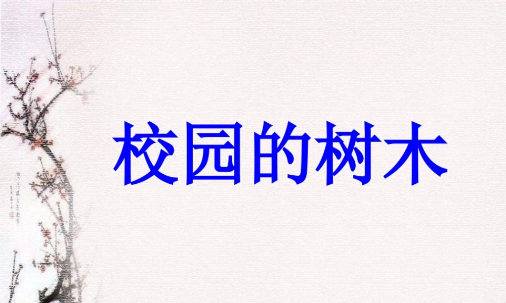 教科小学科学三上《1.2、校园的树木》PPT课件(17)【加微信公众号 jiaoxuewuyou 九折优惠 qq 1119139686】.ppt