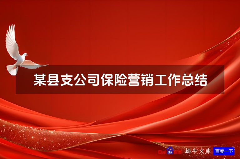 某县支公司保险营销工作总结