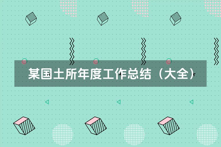 某国土所年度工作总结（大全）