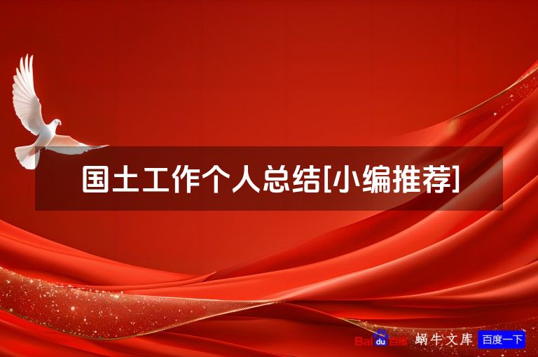 国土工作个人总结[小编推荐]