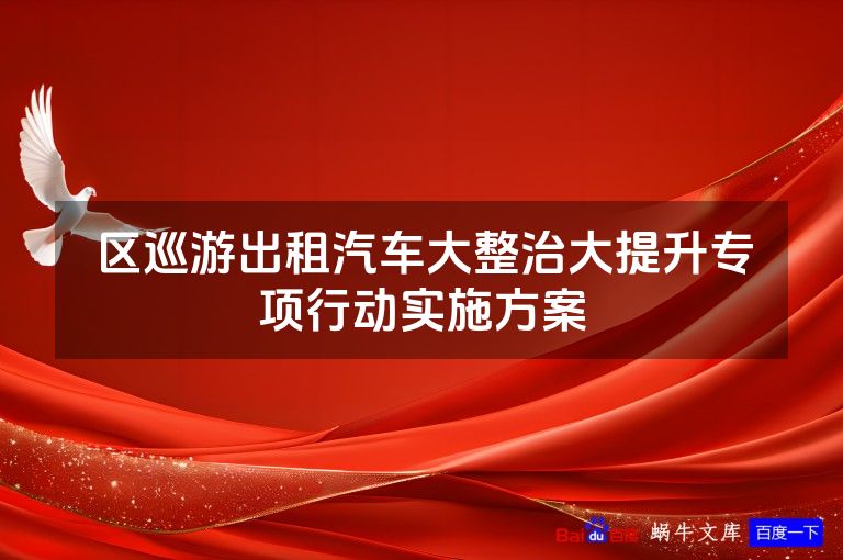 区巡游出租汽车大整治大提升专项行动实施方案