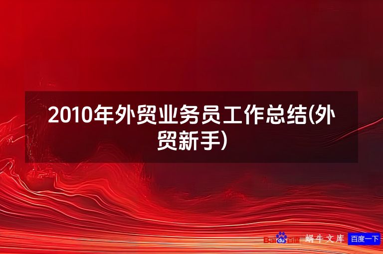 2010年外贸业务员工作总结(外贸新手)