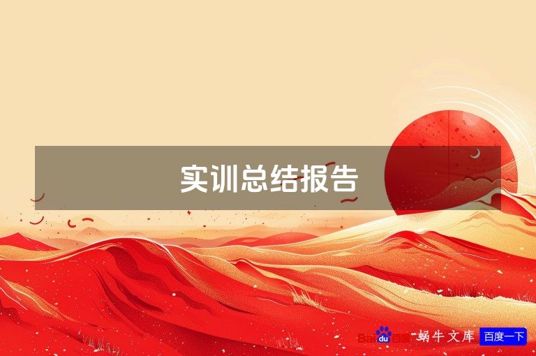 实训总结报告