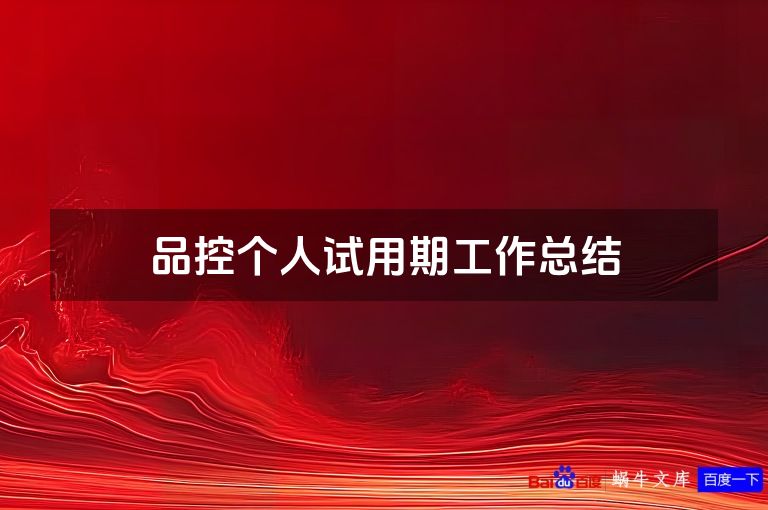 品控个人试用期工作总结