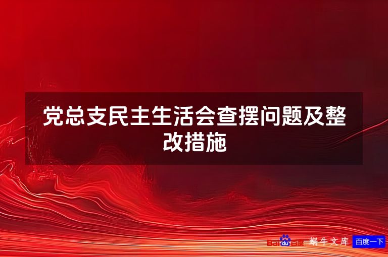 党总支民主生活会查摆问题及整改措施