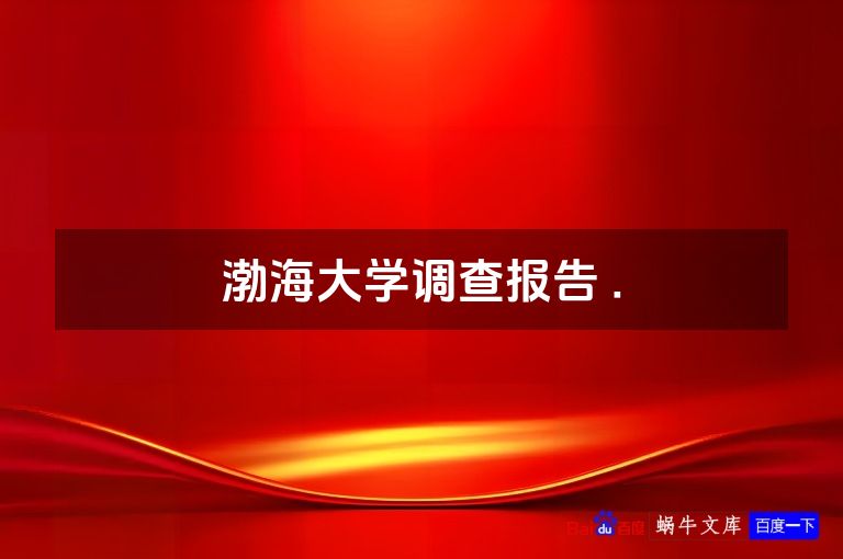 渤海大学调查报告 .
