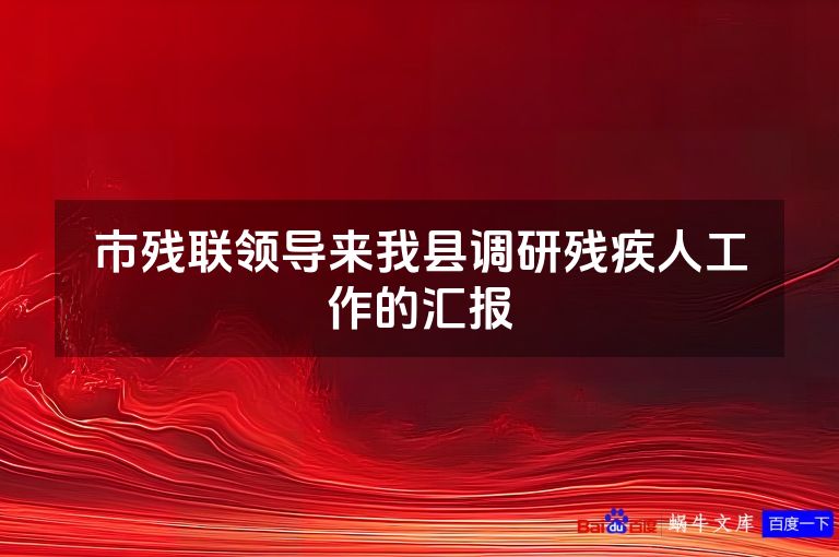 市残联领导来我县调研残疾人工作的汇报