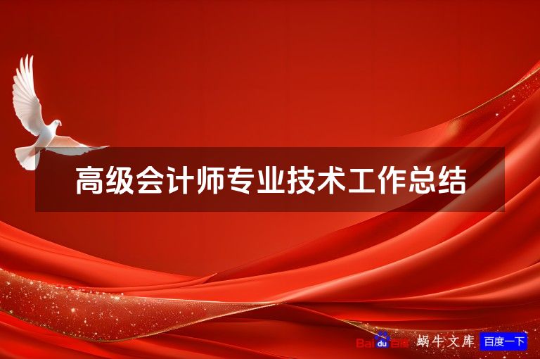 高级会计师专业技术工作总结