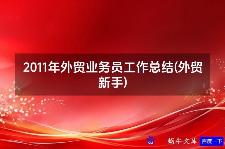 2011年外贸业务员工作总结(外贸新手)