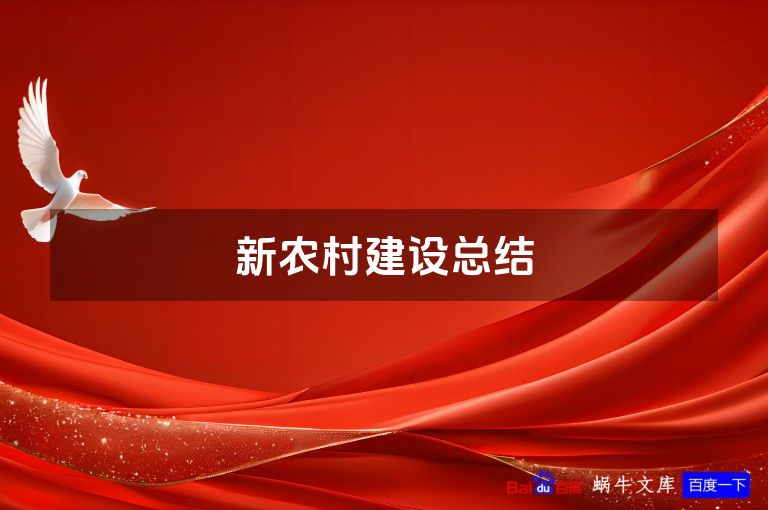 新农村建设总结