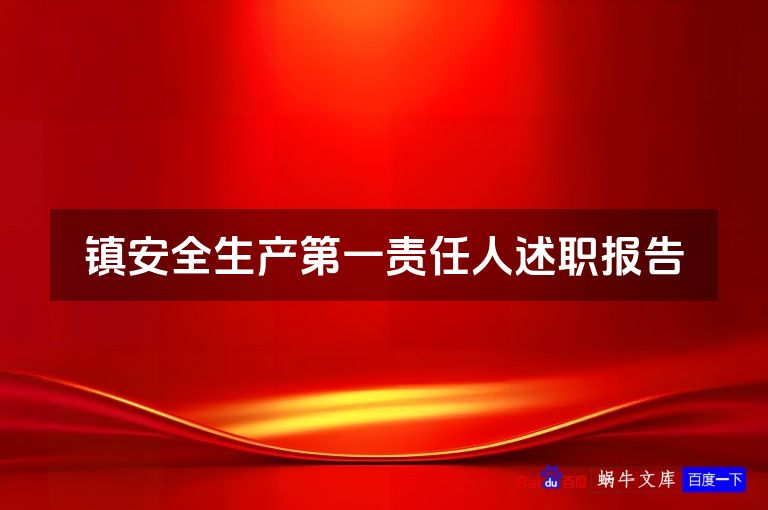镇安全生产第一责任人述职报告