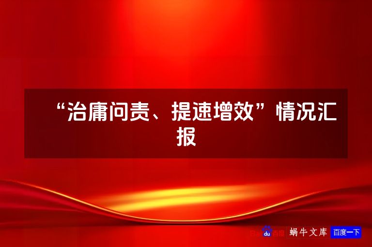 “治庸问责、提速增效”情况汇报