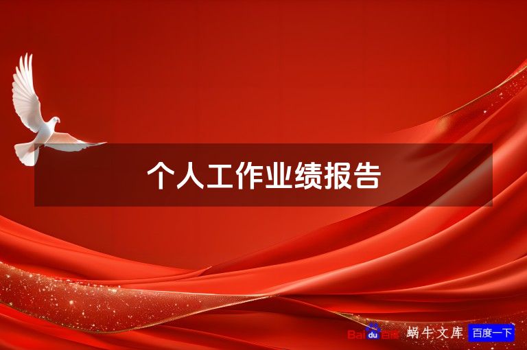 个人工作业绩报告
