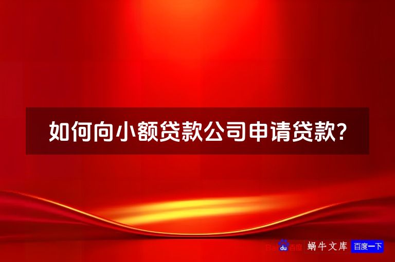 如何向小额贷款公司申请贷款?