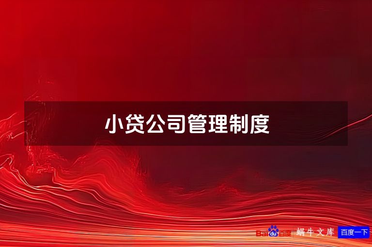 小贷公司管理制度