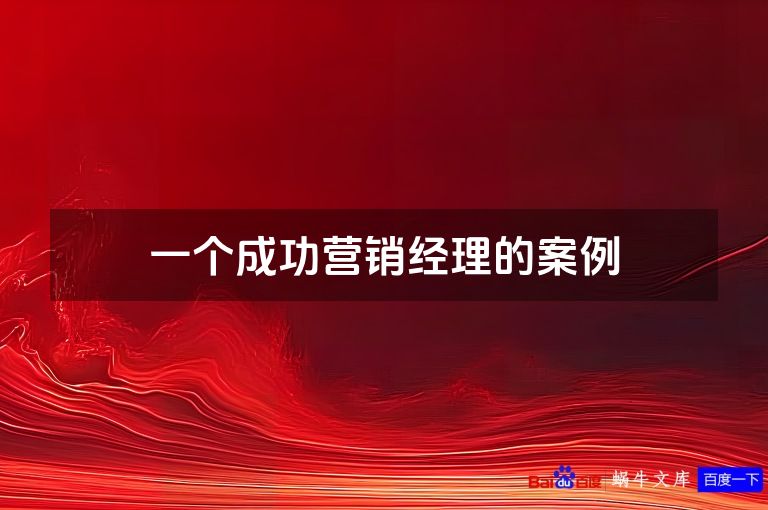 一个成功营销经理的案例