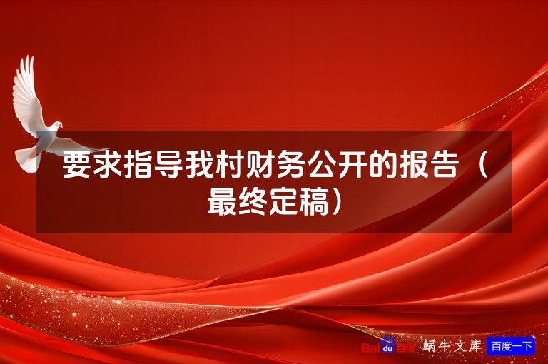 要求指导我村财务公开的报告(最终定稿)