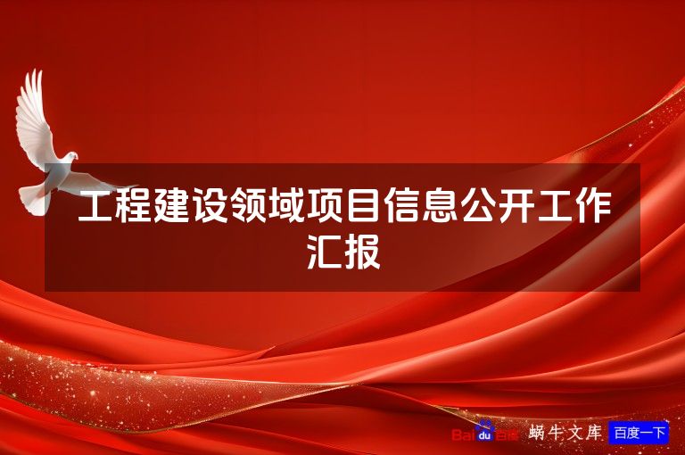工程建设领域项目信息公开工作汇报