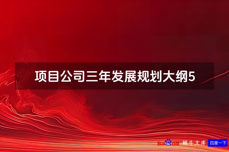 项目公司三年发展规划大纲5