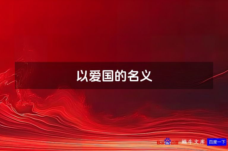 以爱国的名义
