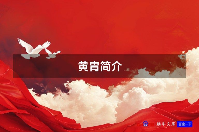黄胄简介
