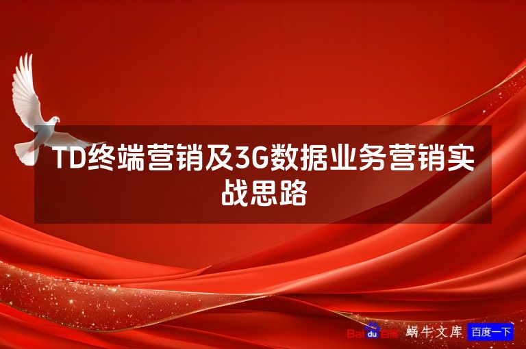 TD终端营销及3G数据业务营销实战思路