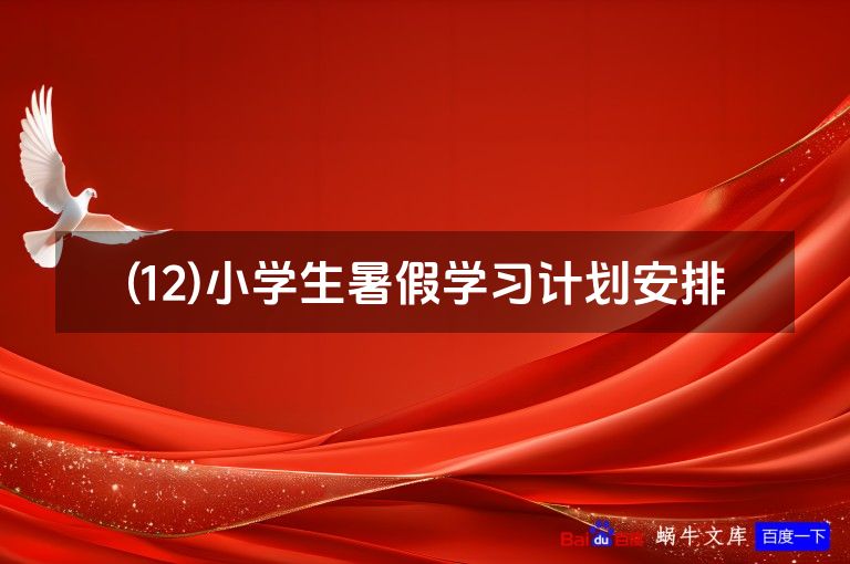 (12)小学生暑假学习计划安排