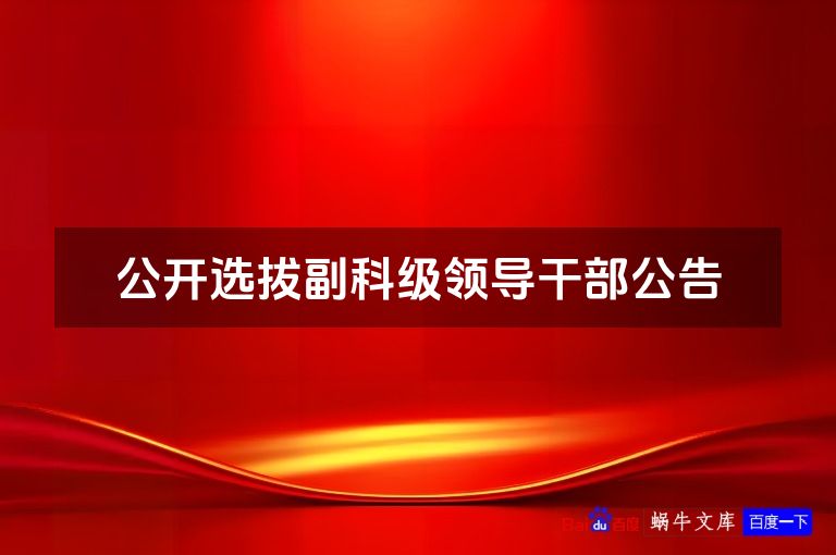 公开选拔副科级领导干部公告