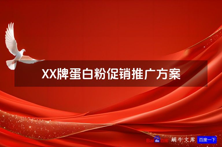 XX牌蛋白粉促销推广方案