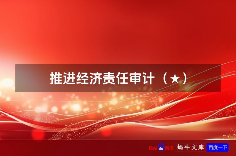 推进经济责任审计（★）