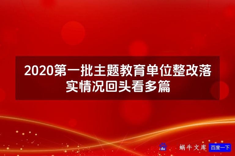 2020第一批主题教育单位整改落实情况回头看多篇