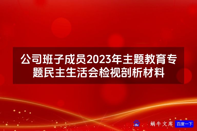 公司班子成员2023年主题教育专题民主生活会检视剖析材料