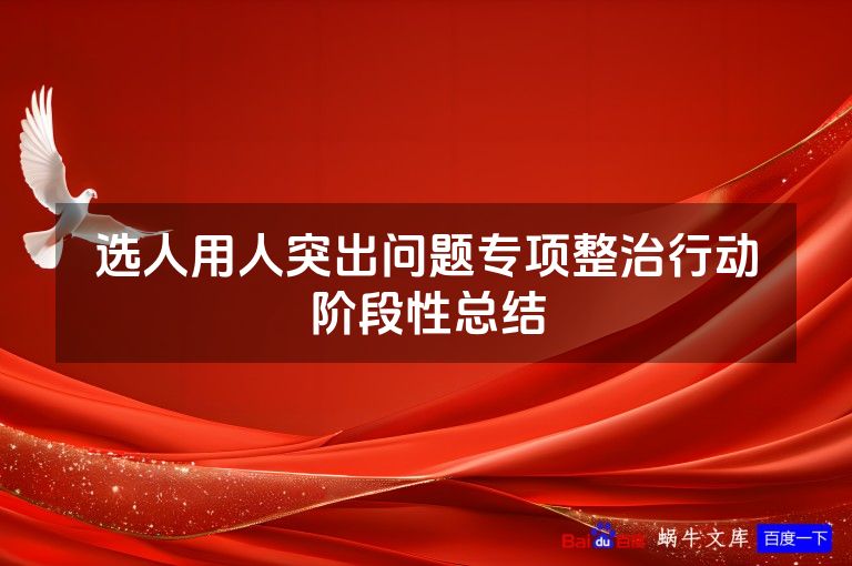 选人用人突出问题专项整治行动阶段性总结