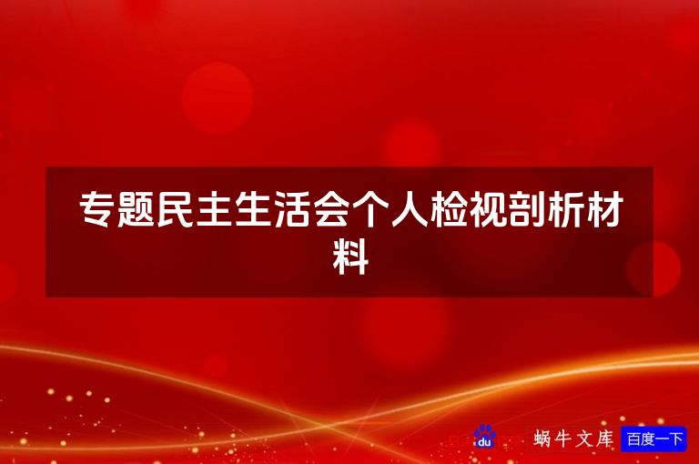 专题民主生活会个人检视剖析材料