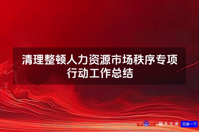 清理整顿人力资源市场秩序专项行动工作总结