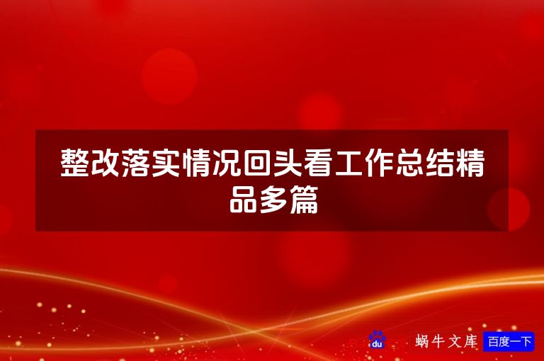 整改落实情况回头看工作总结精品多篇