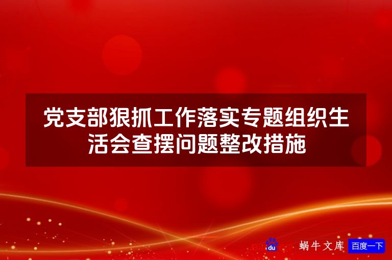 党支部狠抓工作落实专题组织生活会查摆问题整改措施