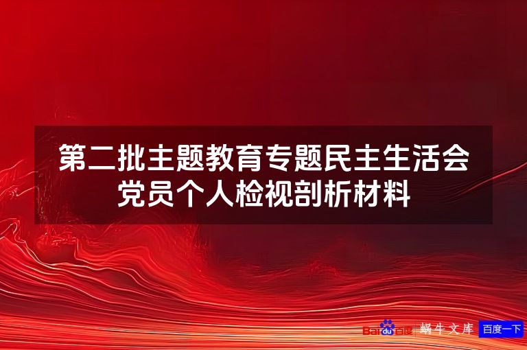第二批主题教育专题民主生活会党员个人检视剖析材料