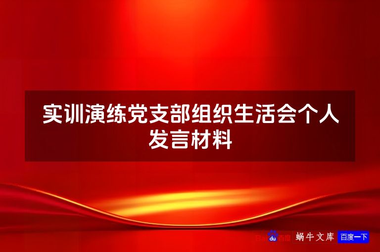 实训演练党支部组织生活会个人发言材料