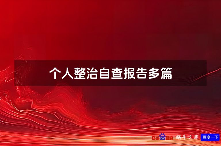个人整治自查报告多篇